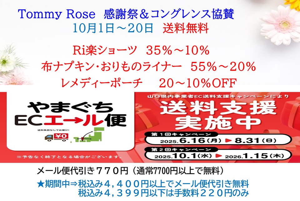 ★人気No１ストレッチレースふんどしショーツ　