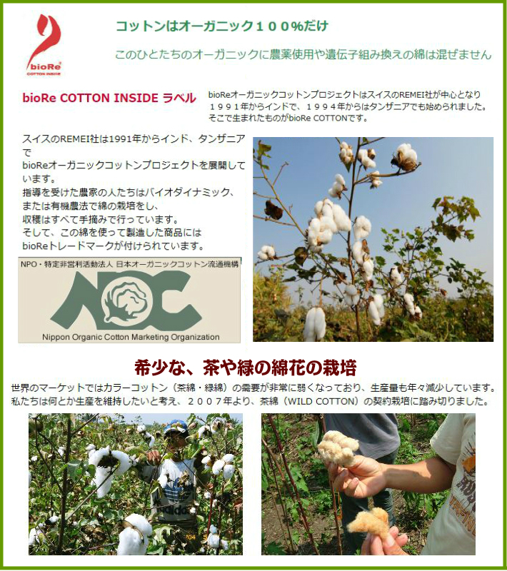 【500円OFF】ピコ：ストレッチレース【茶２色ボーダー】Ｍサイズ