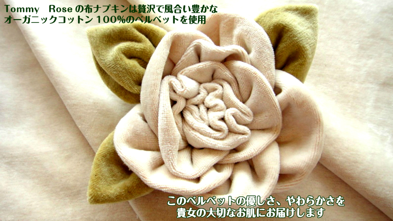 ☆30％OFF【布ナプキン＆Ｒｉ楽ショーツ】スペシャルセット