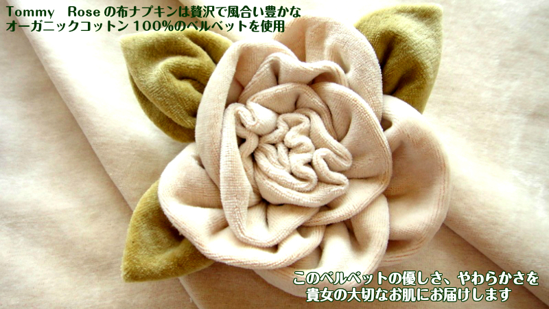 ☆40％OFF　布ナプキン【Ｌサイズ　２枚】