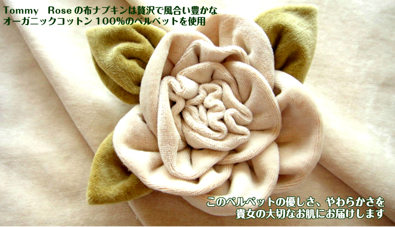 ☆40％OFF　布ナプキン【Ｓサイズ ２枚】