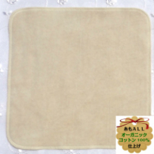 ☆40％OFF　布ナプキン【Mサイズ　２枚】