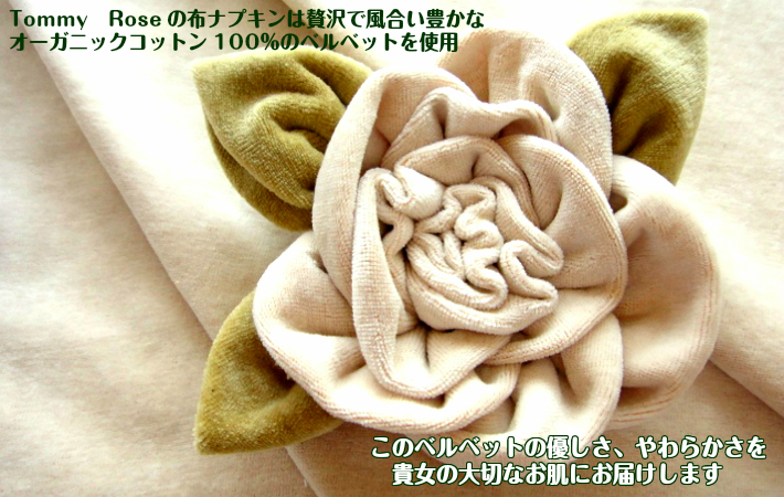 51％OFF【ケーキナプキン】