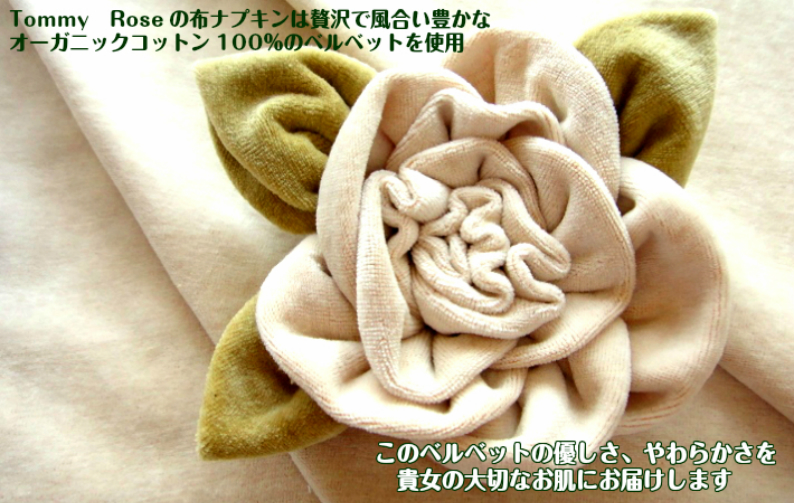 おりものライナー（十字型）30％OFF