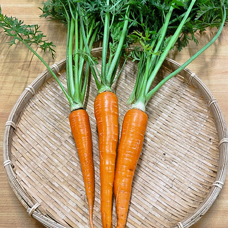 【新鮮豊受野菜】豊受五寸人参（葉付き）