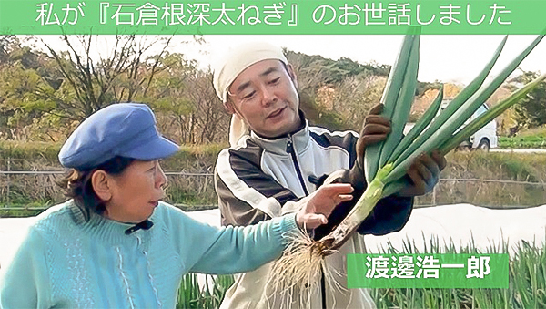 【新鮮豊受野菜】石倉根深太ねぎ