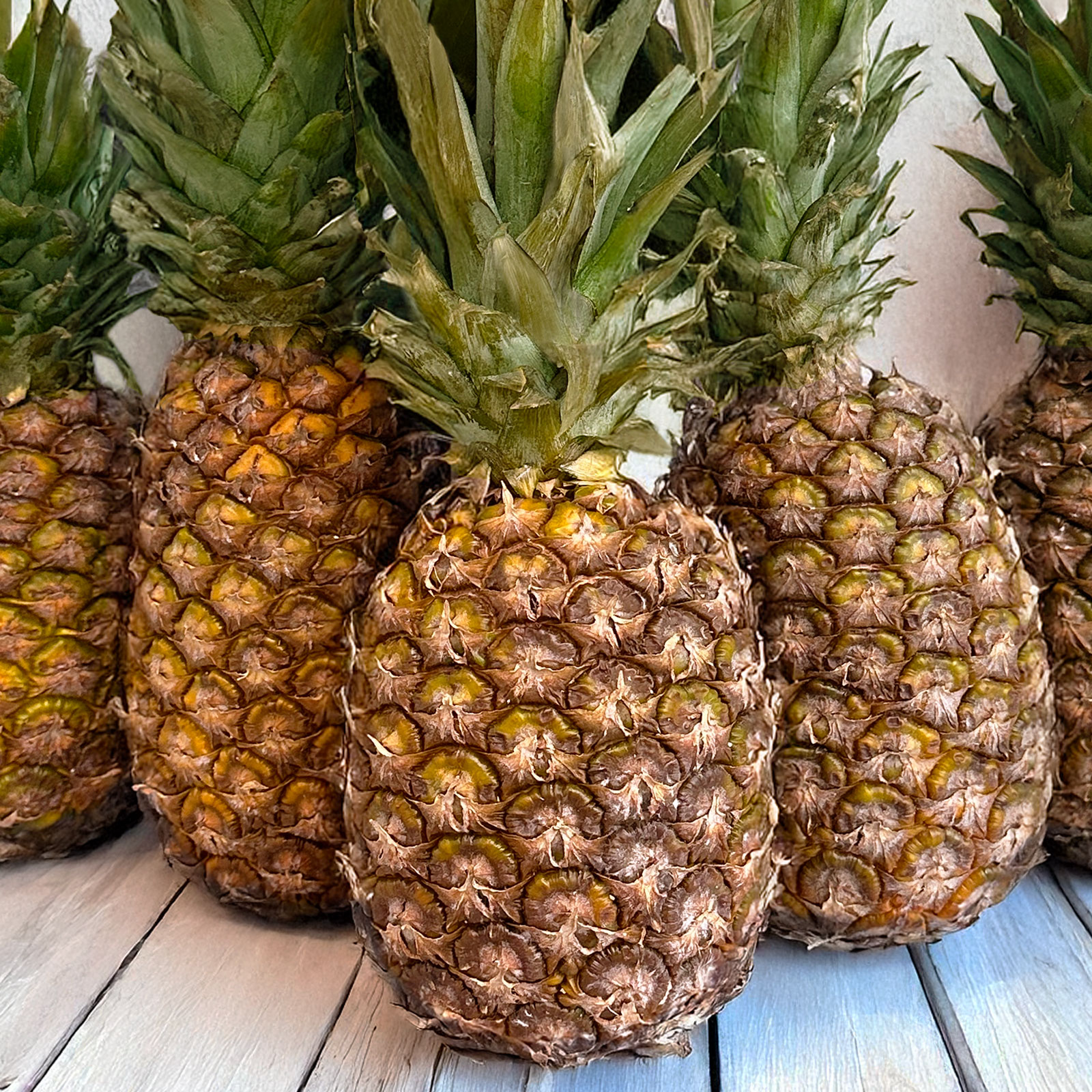 御古菌で育てたパイナップル〈クラウン付きLサイズ〉