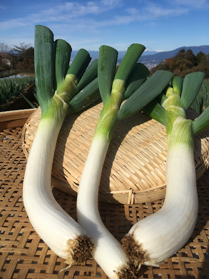 【代引き手数料テスト用】高額野菜②