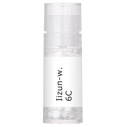 Iizun-w. 6C大
