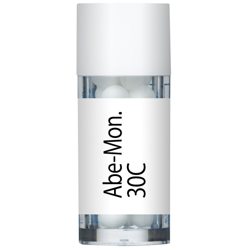 Abe-Mon. 30C 小