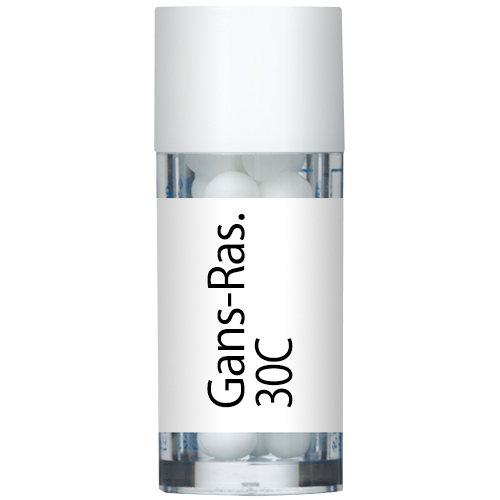 Gans-Ras. 30C 小