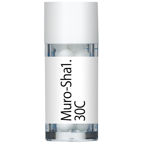 Muro-Sha1. 30C小