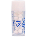 Sil シリカ 30C 小
