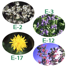 FE)C-04 ディプレッション・アンド・ディスペアー