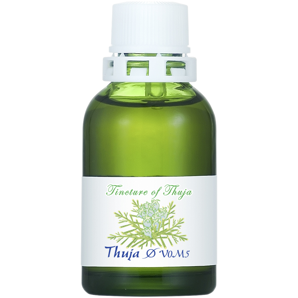 MT)Thuja-V0M5 Φ（20mL）
