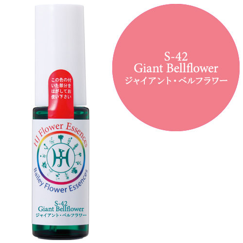 FE)S-42 ジャイアント・ベルフラワー