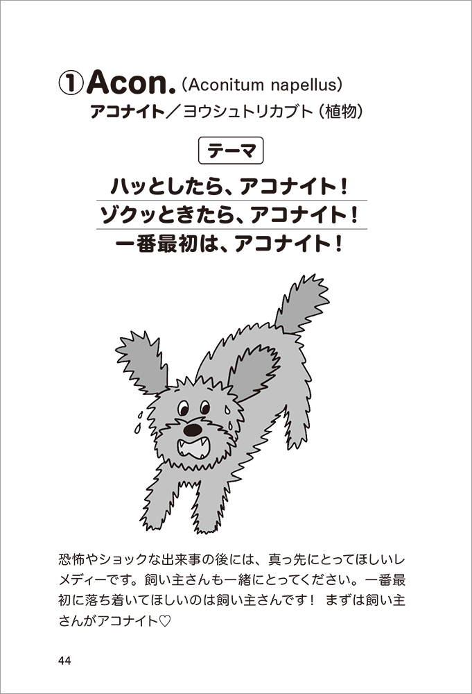 犬と猫と私のナチュラルケア